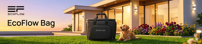 EcoFlow Bag