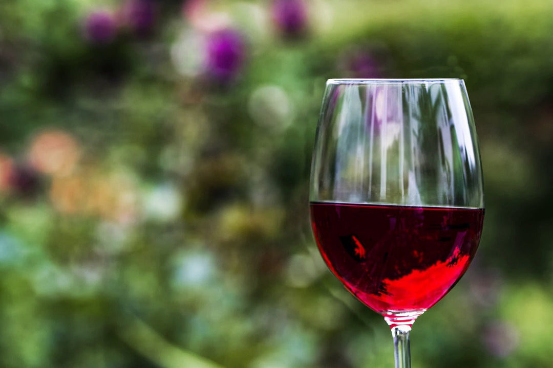 Why Even ‘Moderate’ Drinking Is Harming Your Health - POWER FIT SHOP — Powering Preparedness, Health & Home