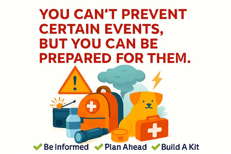 Emergency Survival Preparedness - POWER FIT SHOP — Powering Preparedness, Health & Home