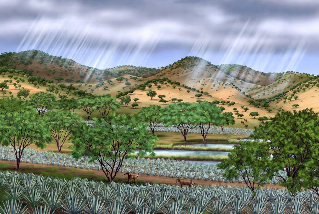 Regenerative Agriculture Week - POWER FIT SHOP — Powering Preparedness, Health & Home