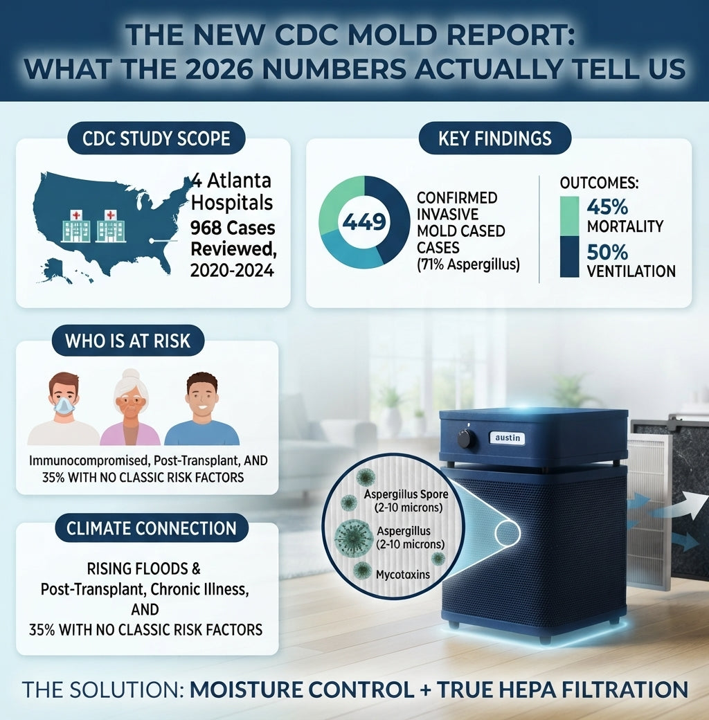 The New CDC Mold Report: What the Numbers Mean