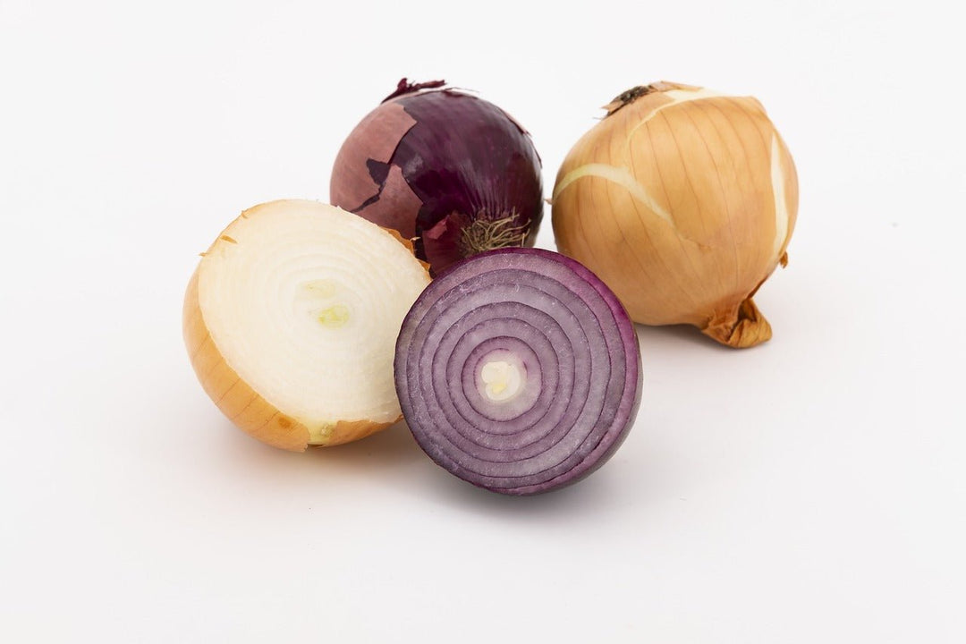 Exploring the Cancer-Fighting Capabilities of Onions - POWER FIT SHOP — Powering Preparedness, Health & Home
