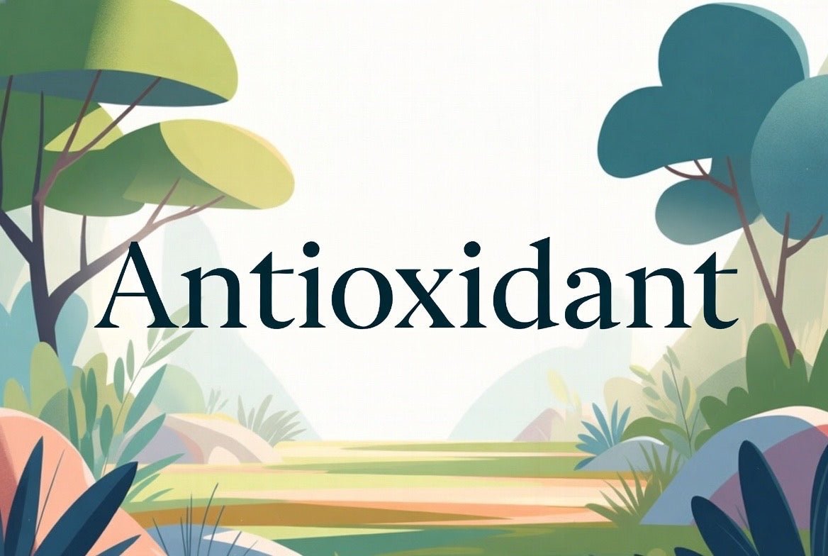 Antioxidant - POWER FIT SHOP — Powering Preparedness, Health & Home