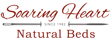 Soaring Heart Featured
