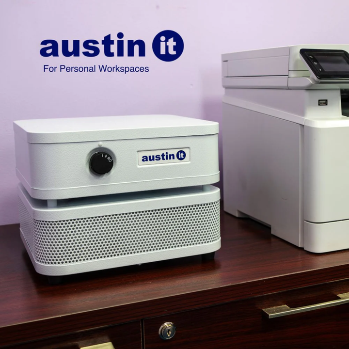Austin Air IT Unit With HEPA Compact Allergy Purifier For Dust White C100C1