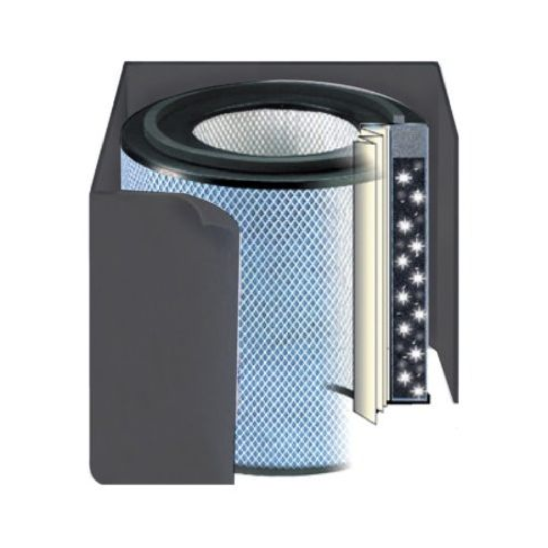 Austin Air Replacement Filter For Healthmate Plus HEPA Standard Plus Black