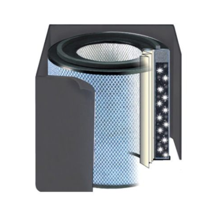 Austin Air Replacement Filter For Healthmate Plus HEPA Standard Plus Black