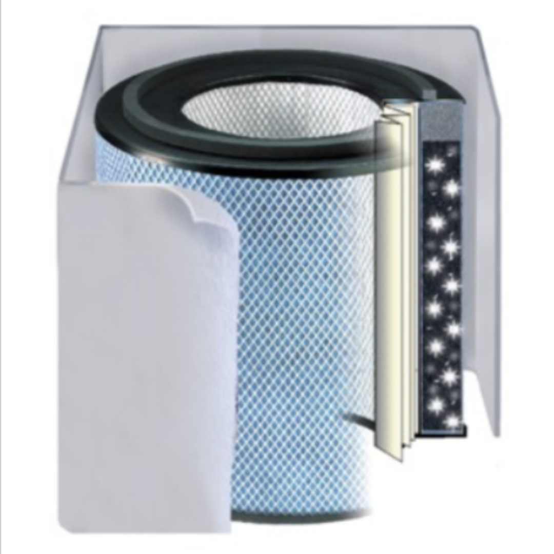 Austin Air Replacement Filter For Healthmate Plus HEPA Standard Plus White