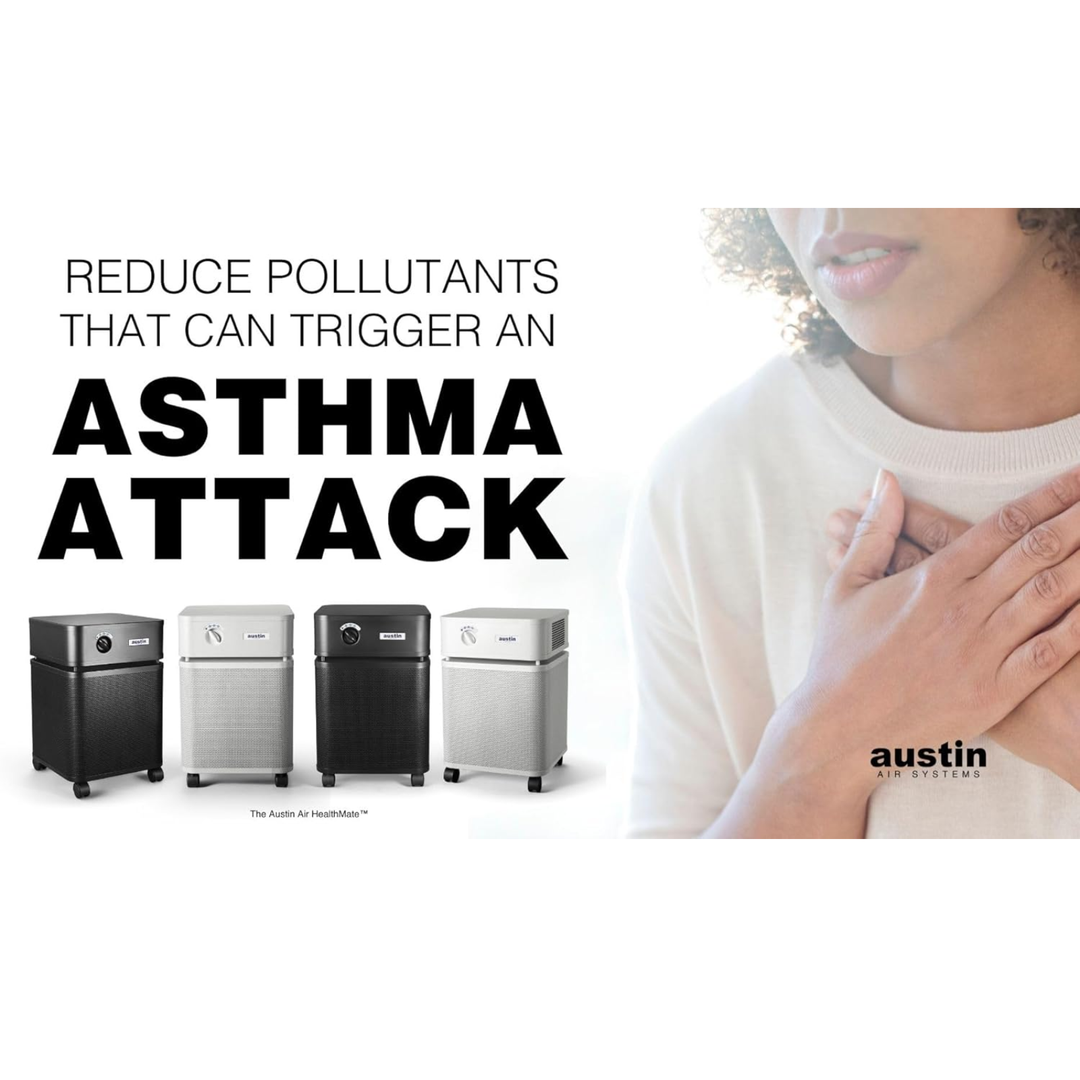 Austin Air HealthMate Standard HEPA – 110–120V (USA Model) – Black