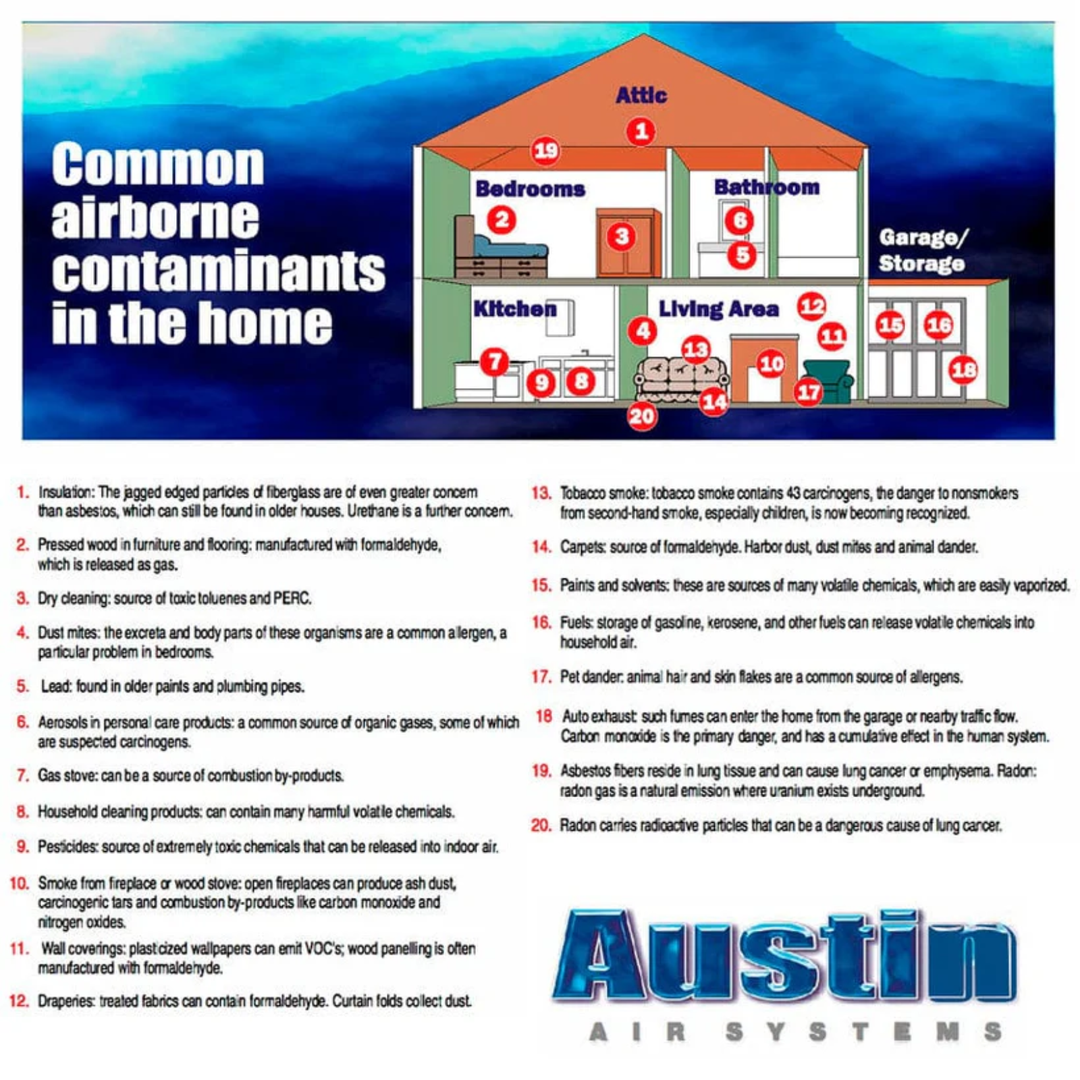Austin Air Replacement Filter For Healthmate Plus HEPA Standard Plus Black