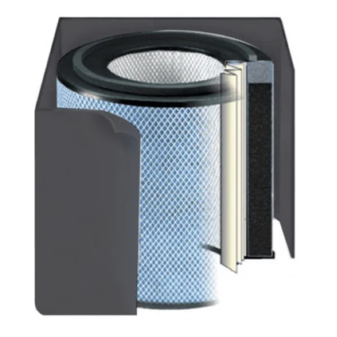 Austin Air Replacement Filter For Junior Plus International Model Black