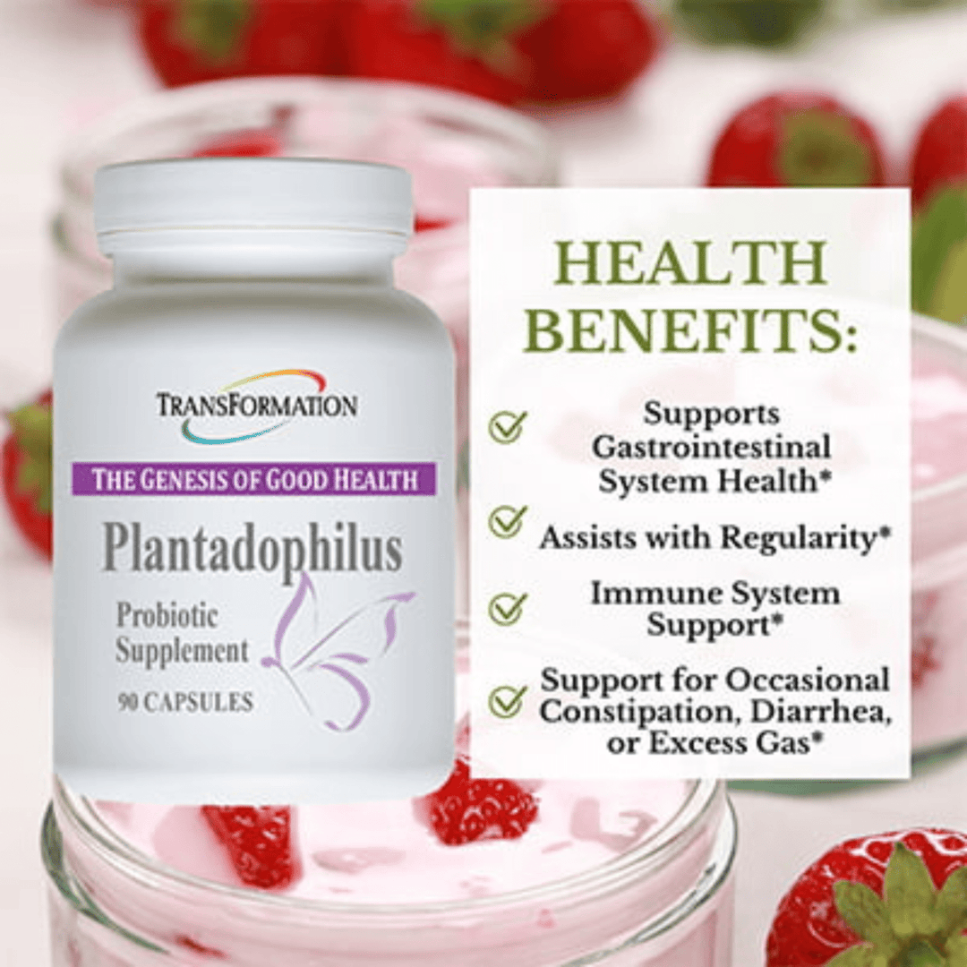 Transformation Enzymes Plantadophilus Digestive Balance 90 Caps 10101 - POWER FIT SHOP — Powering Preparedness, Health &amp; Home