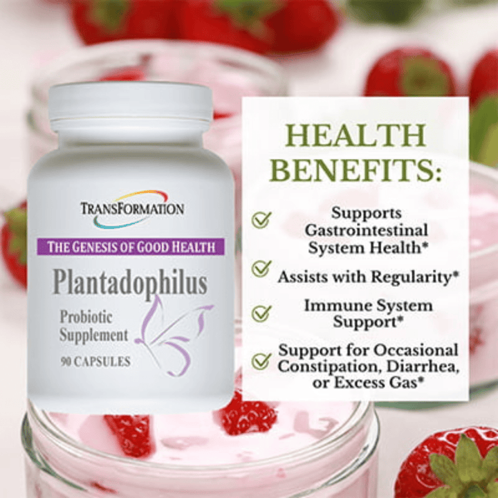 Transformation Enzymes Plantadophilus Digestive Balance 90 Caps 10101 - POWER FIT SHOP — Powering Preparedness, Health &amp; Home