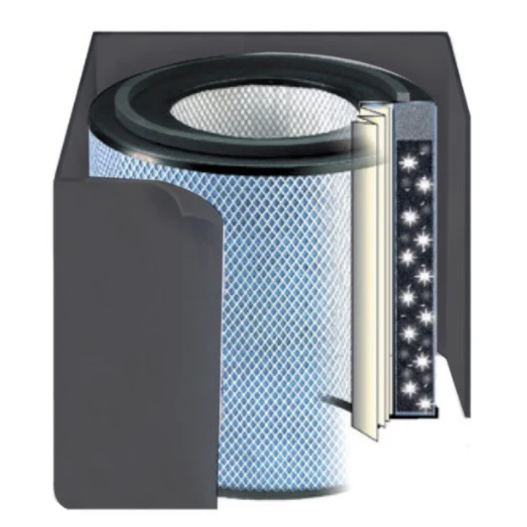 Austin Air Replacement Filter Pet Machine Standard HEPA FR410A Black