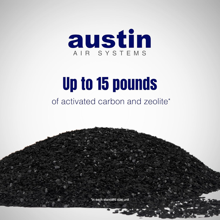 Austin Air Replacement Filter For Bedroom Machine HEPA FR402A Black