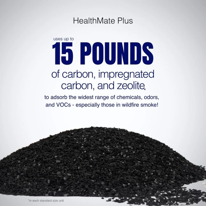 Austin Air HealthMate Plus Standard 220V Air Purifier For Home HM450 White