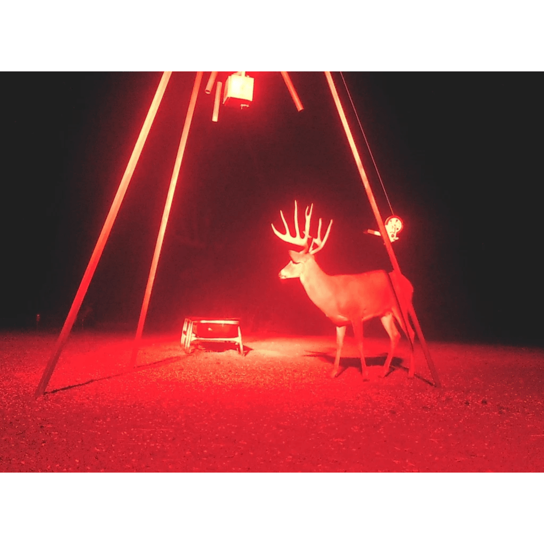 Black Oak 20-inch curved red LED predator light bar with combo optics, designed for high-performance LED lighting.