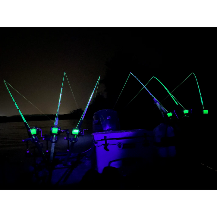 Black Oak LED Ultraviolet UV Rock Lights Accent UV LED Black Housing