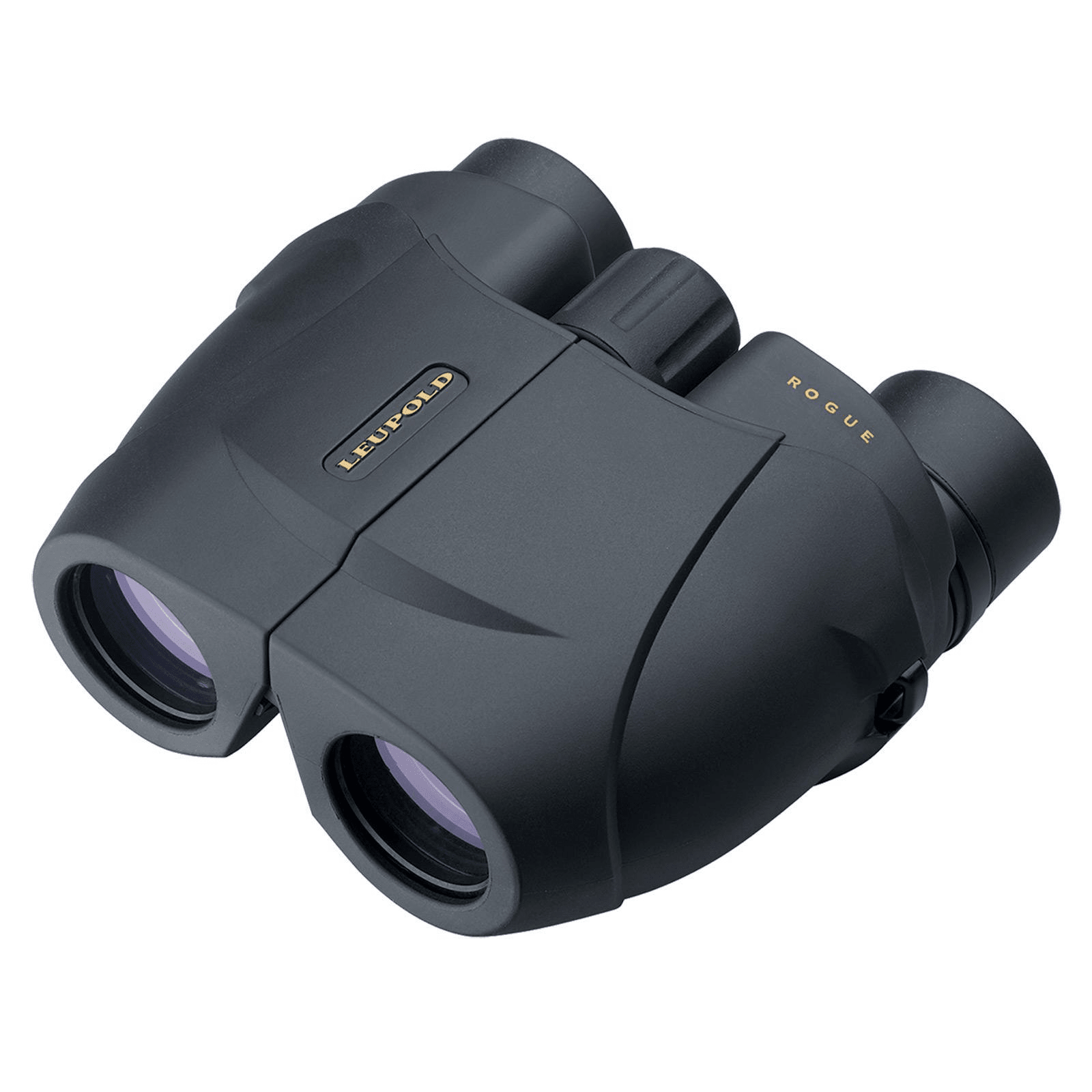 Chattanooga Leupold BX-1 Rogue compact binoculars with 10x25mm lenses, black inverted Porro prism, lightweight and portable.