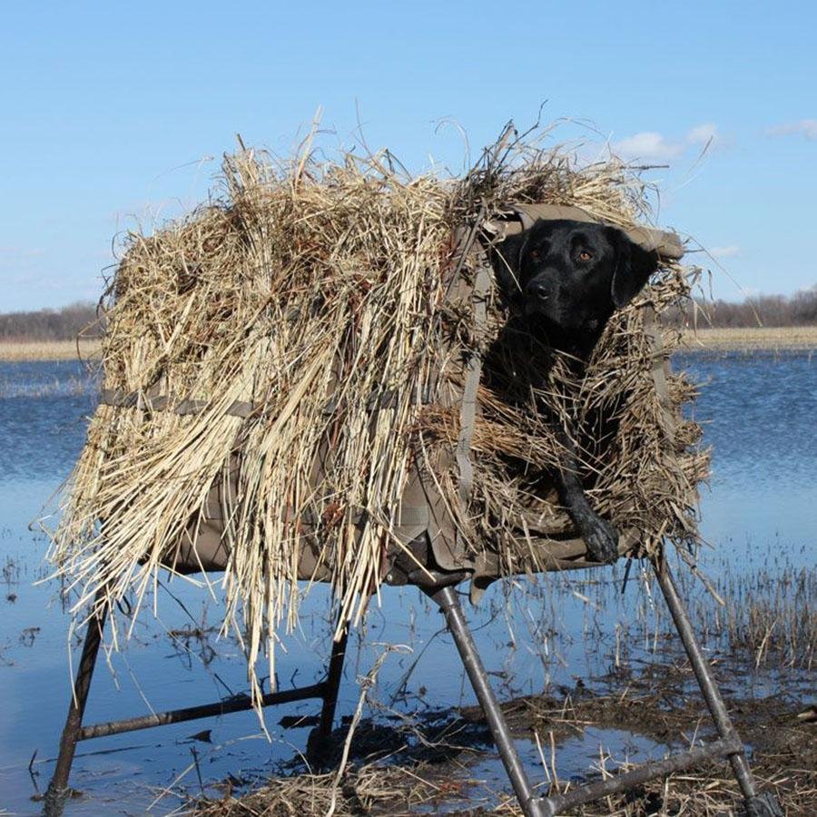Chattanooga Higdon Outdoors MoMarsh Invisi Lab Optifade Timber durable dog blind for outdoor hunting and training.