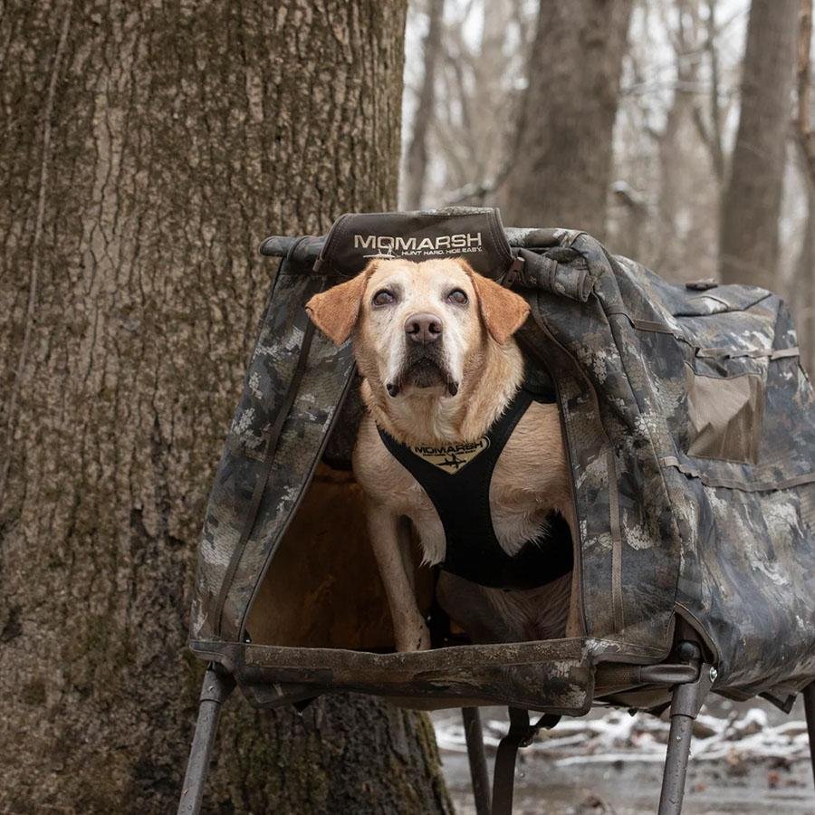 Chattanooga MoMarsh Invisi Lab dog blind in Optifade Marsh, durable outdoor gear, designed for outdoor dog shelter and privacy.