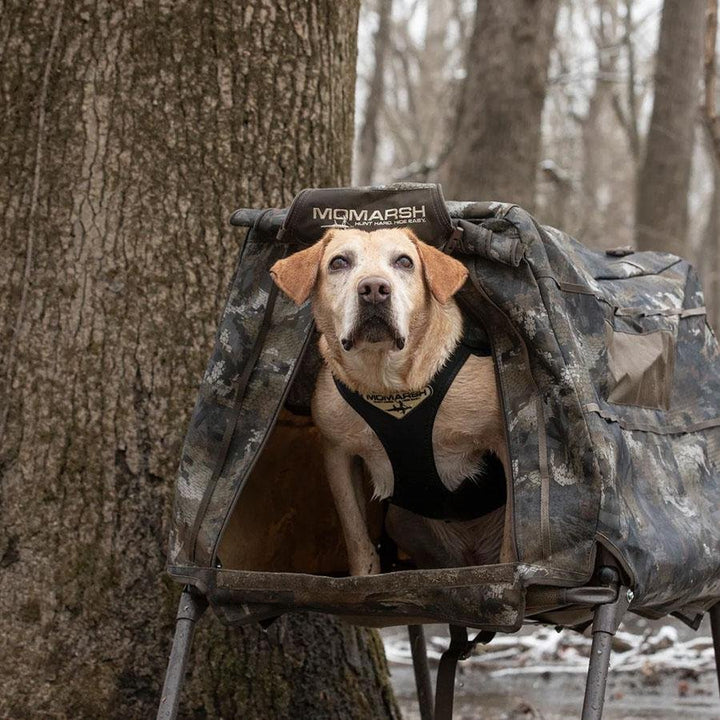 Chattanooga MoMarsh Invisi Lab dog blind in Optifade Marsh, durable outdoor gear, designed for outdoor dog shelter and privacy.