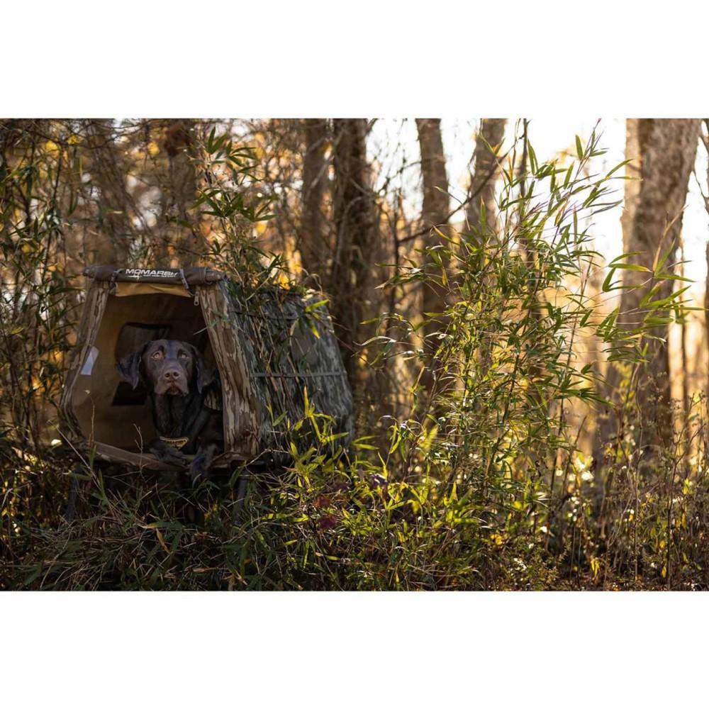 Chattanooga Higdon Outdoors Invisilab Dog Blind in Mossy Oak Bottomland camouflage, portable shelter for outdoor dog hunting.