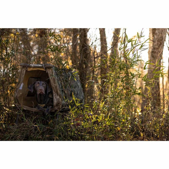 Chattanooga Higdon Outdoors Invisilab Dog Blind in Mossy Oak Bottomland camouflage, portable shelter for outdoor dog hunting.