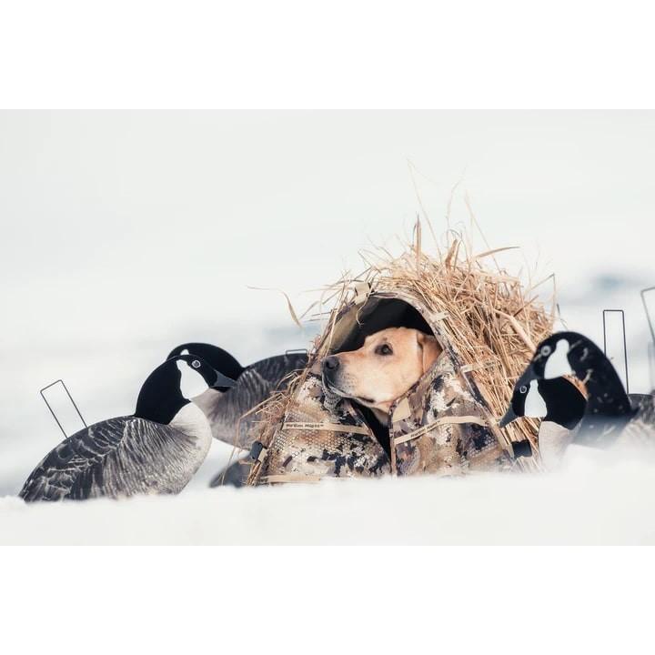 Chattanooga Rig Em Right Outdoors Field Bully Dog Blind in Optifade Marsh camouflage, designed for hunting and outdoor use.