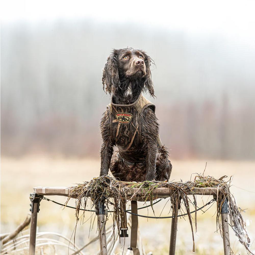 Chattanooga RigEm Right Swamp Bully dog stand with durable adjustable frame and mesh top for stable outdoor dog blind use.