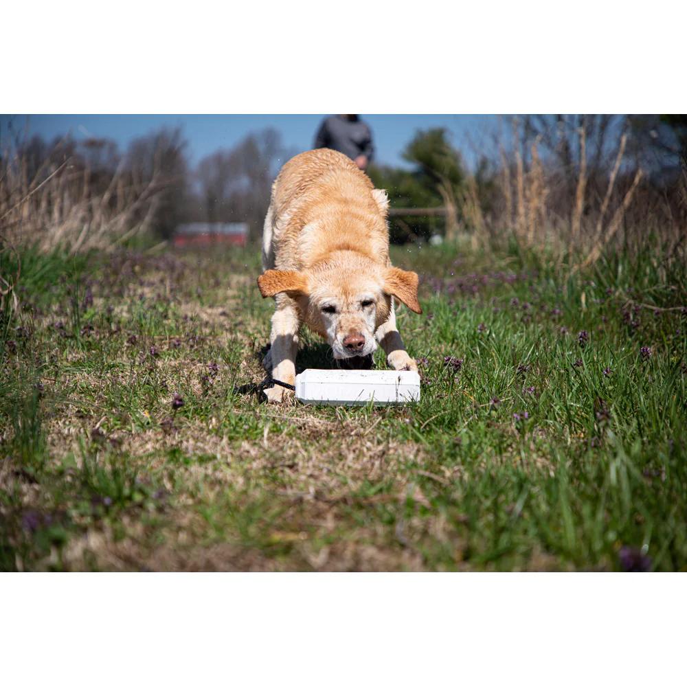 Chattanooga MoMarsh Medium Mark White dog training bumper made of EVA foam, 9x2 inches, floatable for training and water retrieves.