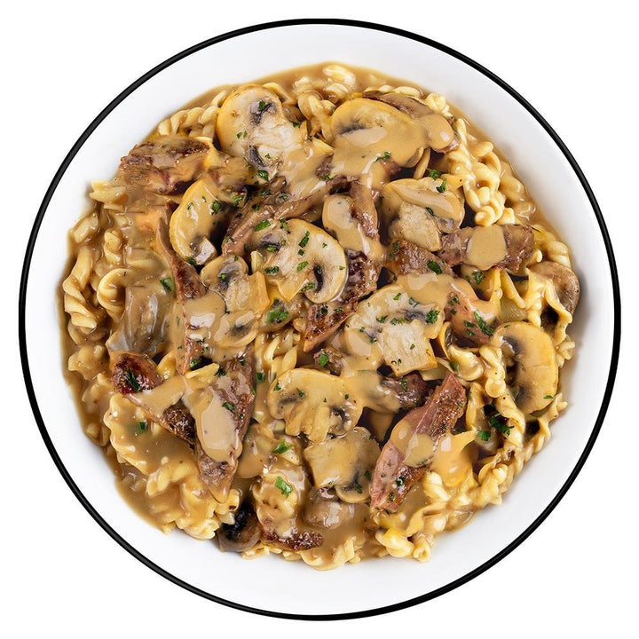 Chattanooga Readywise Pro Meal Beef Stroganoff single pouch, 4.87 oz, creamy pasta dinner with beef in a ready-to-eat food package.
