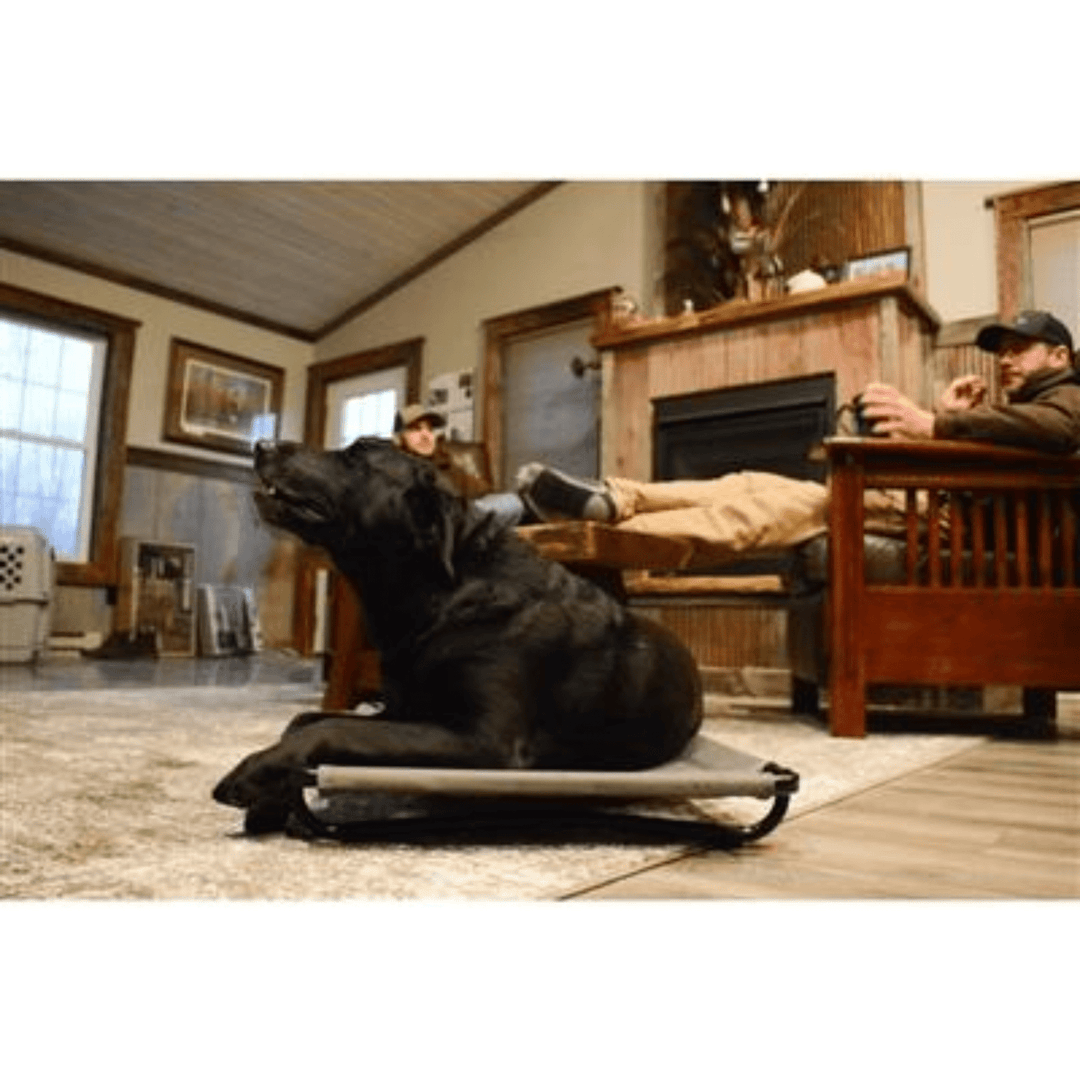 Higdon Outdoors Momarsh Kennel Low Profile Dog Cot Large - POWER FIT SHOP — Powering Preparedness, Health &amp; Home
