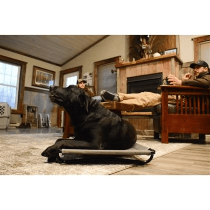 Higdon Outdoors Momarsh Kennel Low Profile Dog Cot Large - POWER FIT SHOP — Powering Preparedness, Health &amp; Home