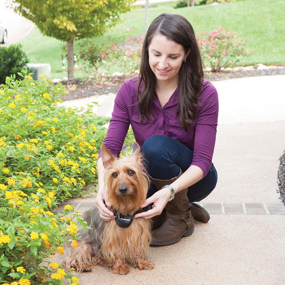 PetSafe Free to Roam Receiver Collar - POWER FIT SHOP — Powering Preparedness, Health &amp; Home