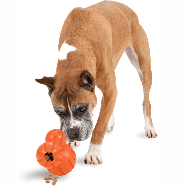 Large PetSafe Sportsmen Barnacle dog chew toy and interactive puzzle with textured surface for mental stimulation and chewing fun.