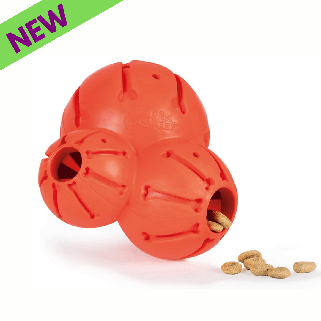 Large PetSafe Sportsmen Barnacle dog chew toy and puzzle from Chattanooga Map, designed for interactive play and mental stimulation.