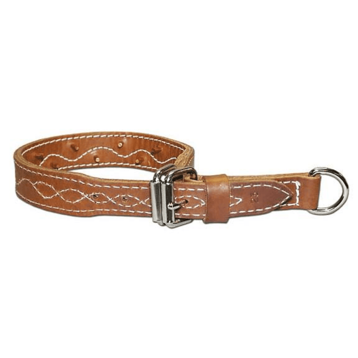 Chattanooga Omnipet 133F-21 Leather Force Collar, 1.25-inch wide brown leather dog collar with buckle and metal hardware.