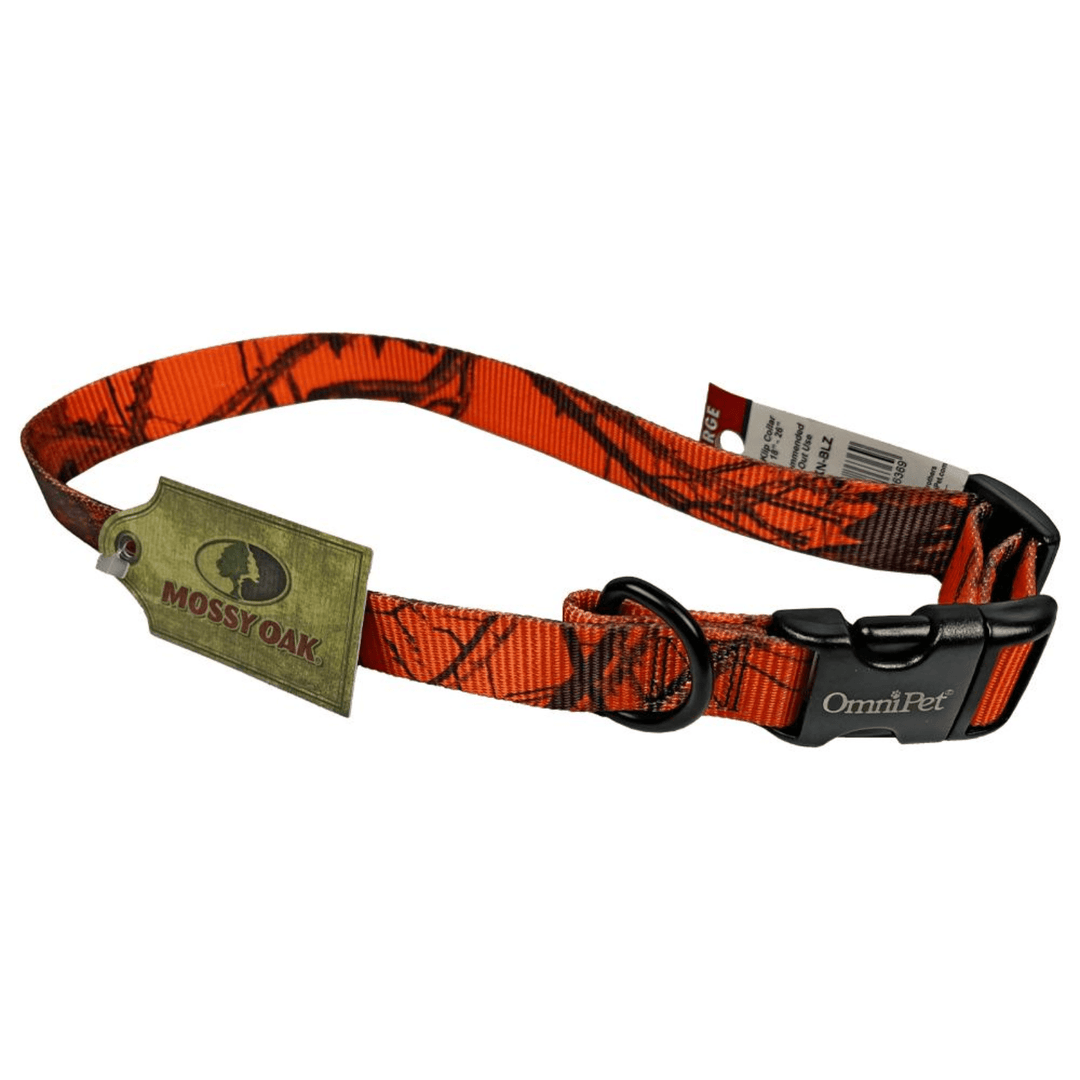 Chattanooga Omnipet Kwik Klip adjustable dog collar in Mossy Oak Blaze Orange Camo, 1 inch wide, fits 18-26 inches.