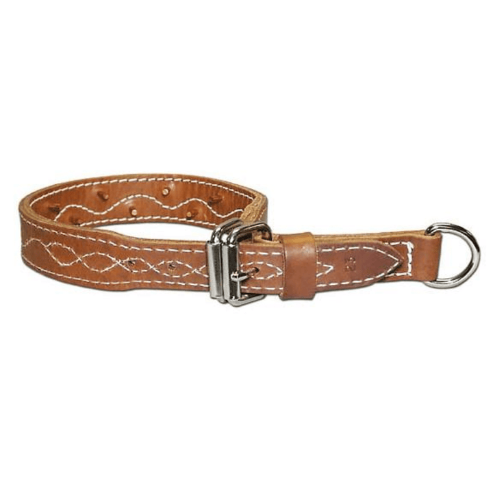Chattanooga Omnipet Leather Sunglo Collar, 1.25 inches by 23 inches, brown dog collar with sturdy leather design.