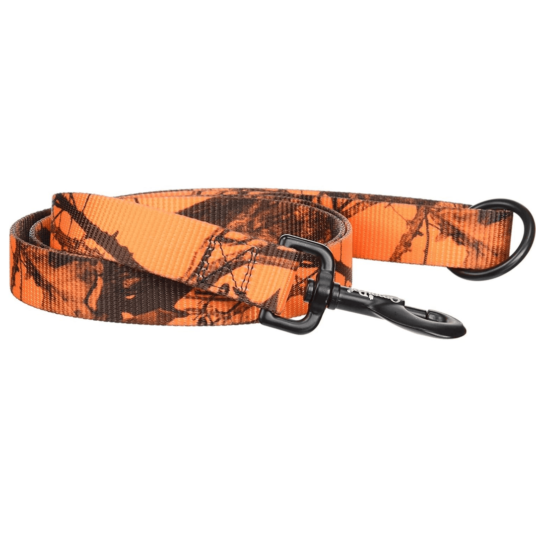 Chattanooga Omnipet Nylon Dog Lead 1" x 6 ft in Mossy Oak Blaze Orange Camo with Sunglo collar for dogs