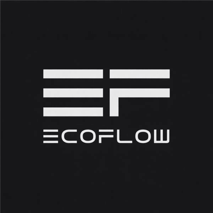 EcoFlow DELTA Pro portable power stations with two units and two smart extra batteries, showing their compact design and control panels.