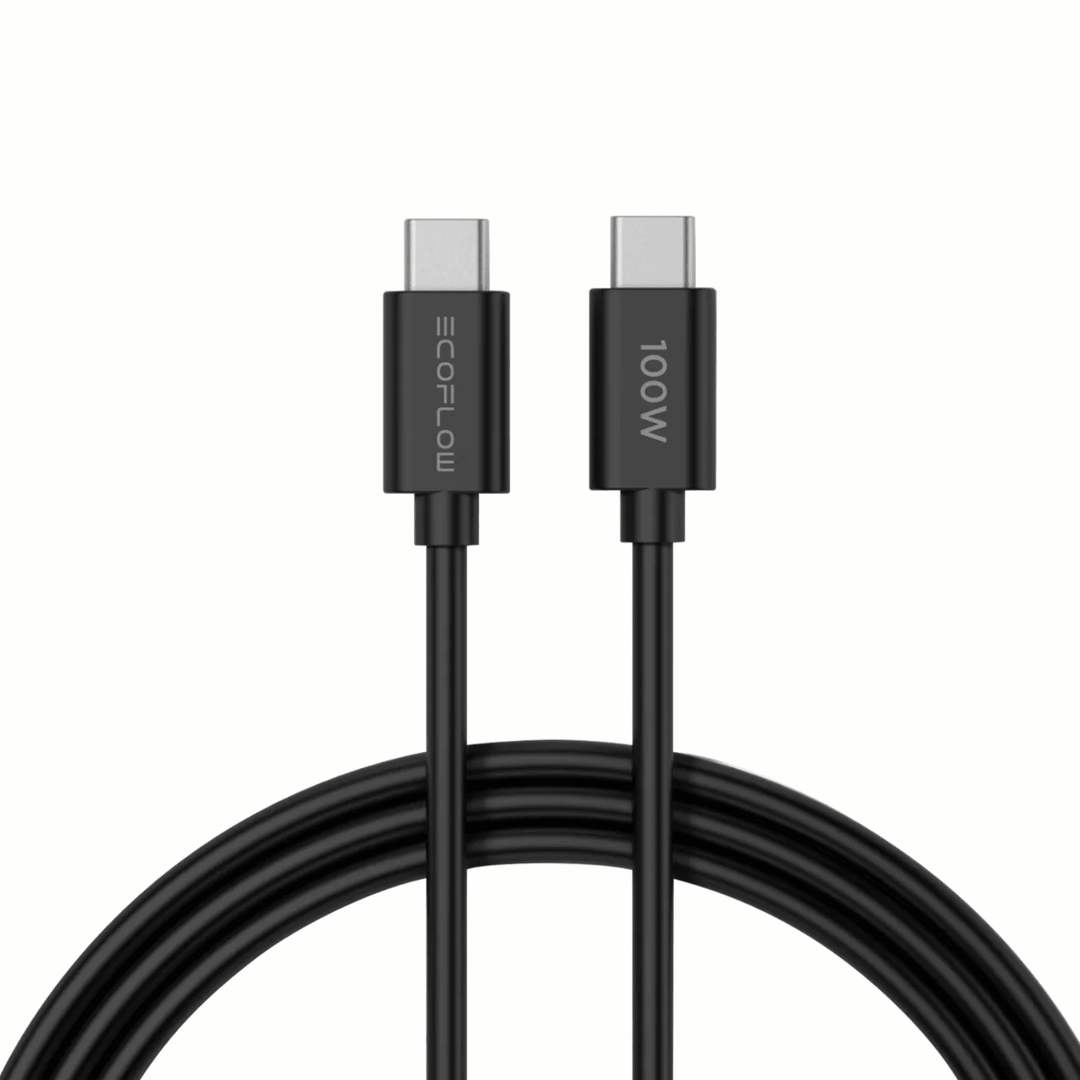 EcoFlow RAPID 65W GaN charger with 100W USB-C cable and power adapter, compact high-speed charging device.
