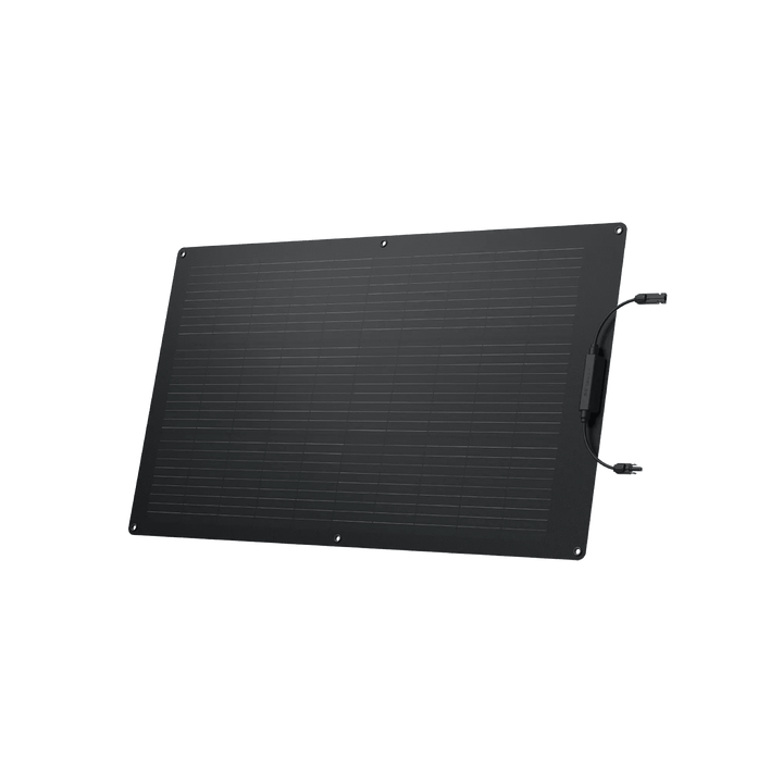 EcoFlow 100W flexible solar panel showing high-efficiency solar modules with a lightweight, portable design for outdoor use.