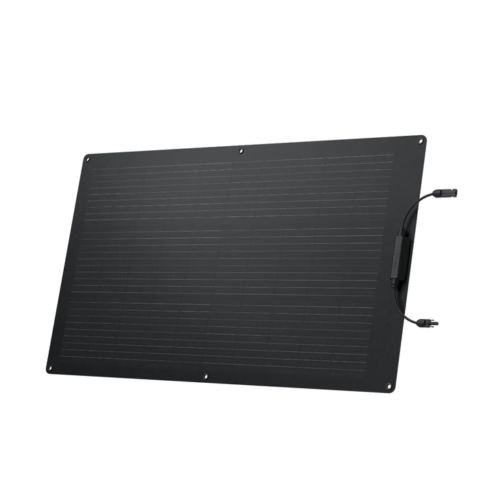 EcoFlow 100W flexible solar panel showing high-efficiency solar modules with a sleek, lightweight design for outdoor use.