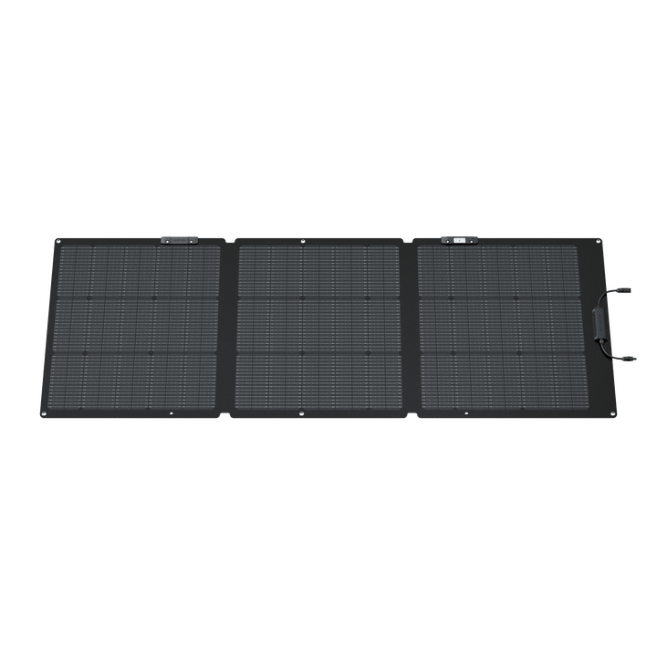 EcoFlow 160W portable solar panel with kickstand, designed for powering stations, shown outdoors with sunlight.