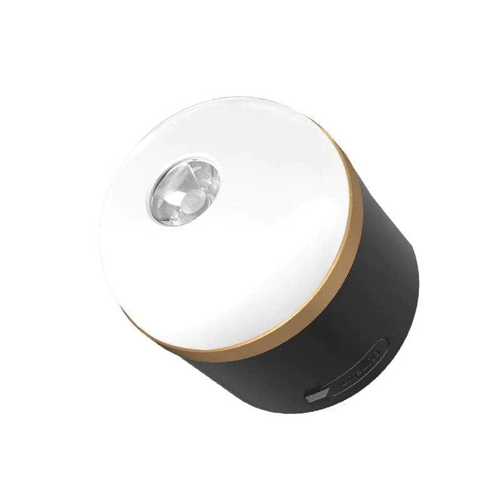EcoFlow portable camping table lamp with magnetic hangable design, handheld light for outdoor use in dark camping environments.