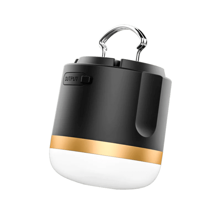 EcoFlow portable camping table lamp with magnetic hangable design, handheld light for outdoor use and camping trips.