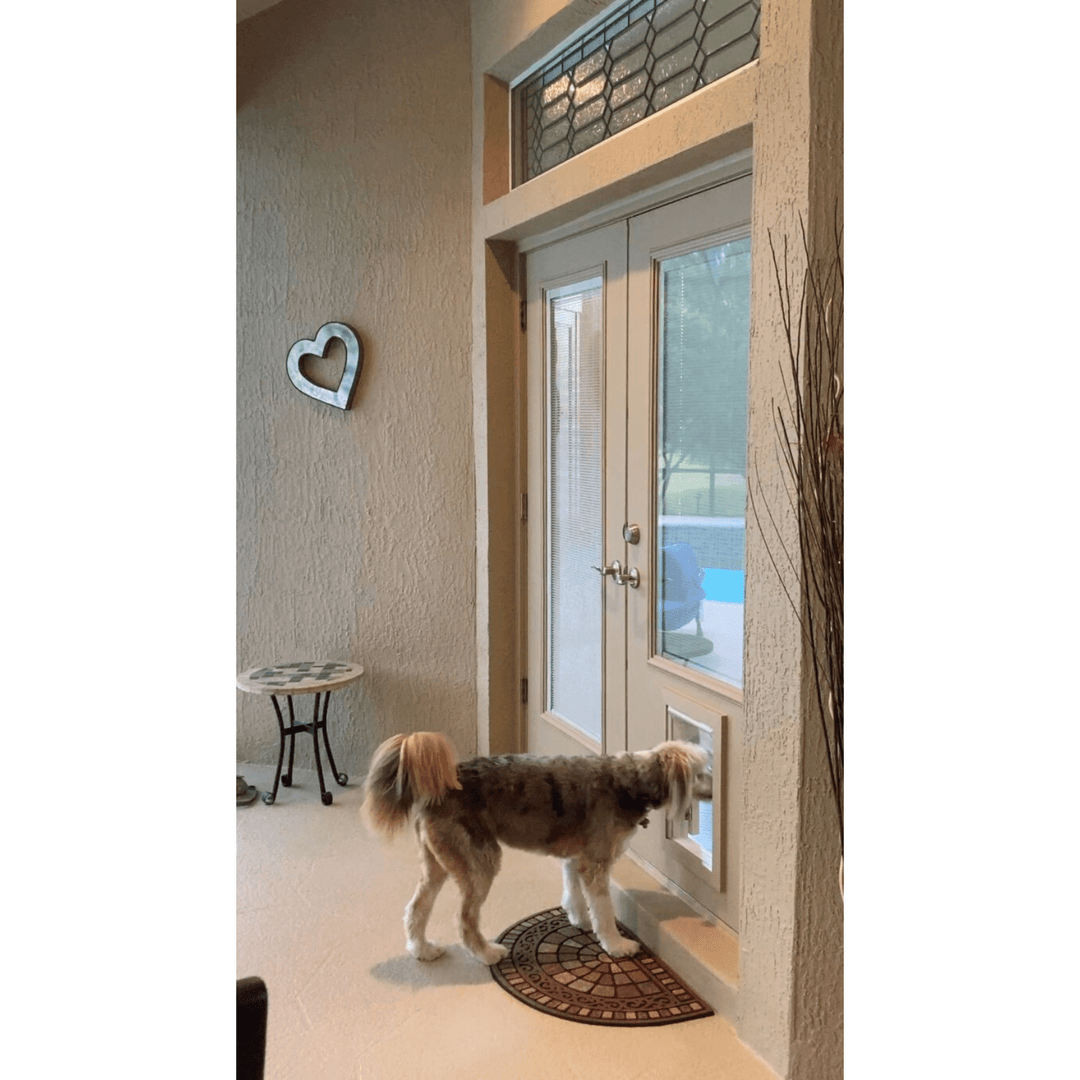 Guard Dog Pet Door Large Size, Lockable, Weatherproof, Flush - Fit Design - POWER FIT SHOP — Powering Preparedness, Health &amp; Home