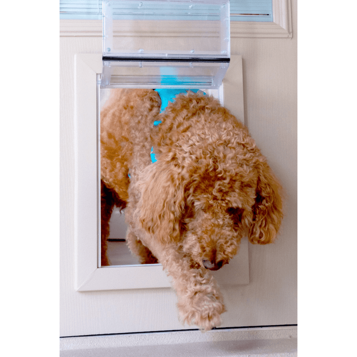 Guard Dog Pet Door Large Size, Lockable, Weatherproof, Flush - Fit Design - POWER FIT SHOP — Powering Preparedness, Health &amp; Home